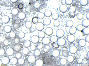 Microsfere in acciaio inox o in vetro